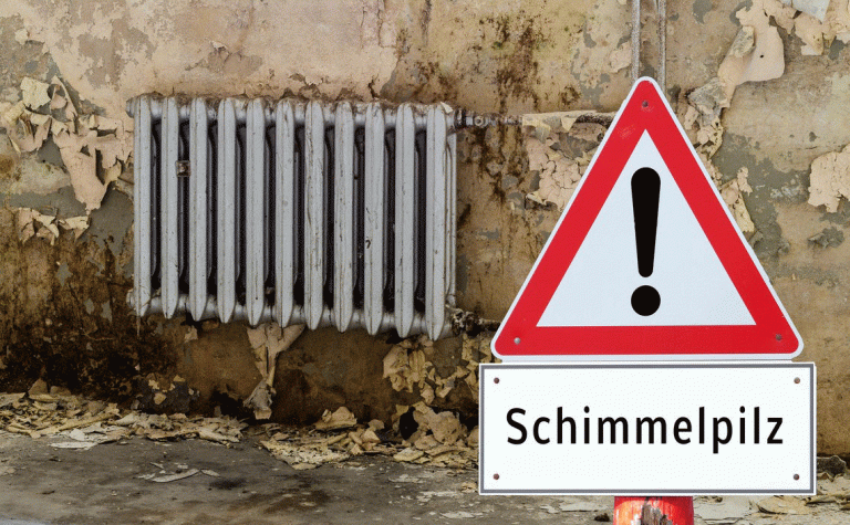 Schimmel im Treppenhaus